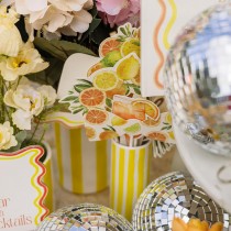 10 ACCESSOIRES PHOTOBOOTH TUTTI FRUTTI AGRUME