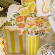 10 ACCESSOIRES PHOTOBOOTH TUTTI FRUTTI AGRUME