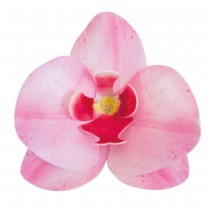 10 ORCHIDÉES AZYME COMESTIBLE 8.5X7.5CM ROSE