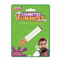 2 FAUSSES CIGARETTES FUMANTES