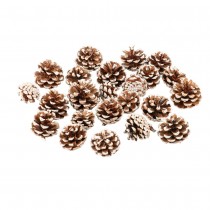 20 POMMES DE PIN NATURELLES NEIGE 4-6.5CM 250G