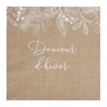 20 SERVIETTES PAPIER DOUCEUR D\'HIVER 33CM NATURE