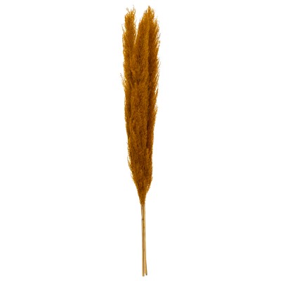 3 PLUMES PAMPA SCHES 109CM OCRE