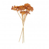 3 TIGES GYPSOPHILE SÉCHÉ 30CM TERRACOTTA