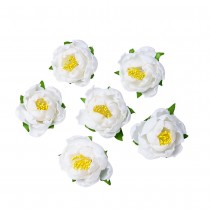 6 PIVOINES EN MOUSSE SUR ADHÉSIF 5CM BLANC