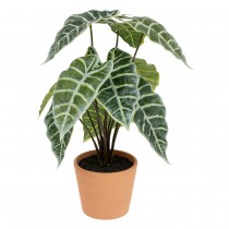 ALOCASIA POLLY ARTIFICIEL POT TERRACOTTA 43CM