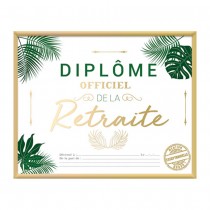 CADRE DIPLÔME OFFICIEL RETRAITE 20.5X25.5CM