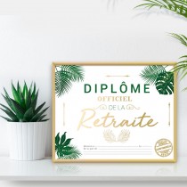 CADRE DIPLÔME OFFICIEL RETRAITE 20.5X25.5CM