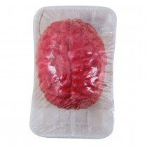 CERVEAU SANGLANT PLASTIQUE MOUSSE ROUGE