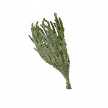 HERBE BUXIFOLIA ARTIFICIEL 100G 45-50CM VERT