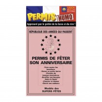 PERMIS CARTON FÊTER ANNIVERSAIRE 14.5X20.5CM ROSE