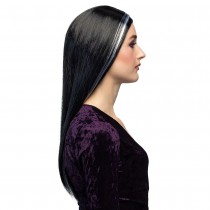 PERRUQUE CHEVEUX LONGS NOIRS MÈCHES BLANCHES FEMME
