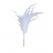 PIC BOIS DÉCORATIF PLUMES 35CM BLANC