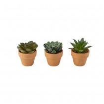 PLANTE GRASSE ARTIFCIELLE POT TERRE CUITE 5X6CM