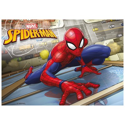 Superhero Spiderman Thème Décoration Fête d'Anniversaire