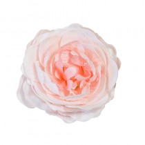 ROSE ANCIENNE SOFT ROSE PÂLE 12 CM