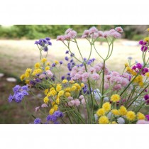 TIGE GYPSOPHILE ARTIFICIEL 108 FLEURS 62CM JAUNE